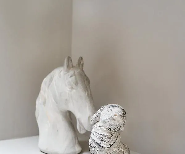 Old Town Luxury Velvet Rhodes City